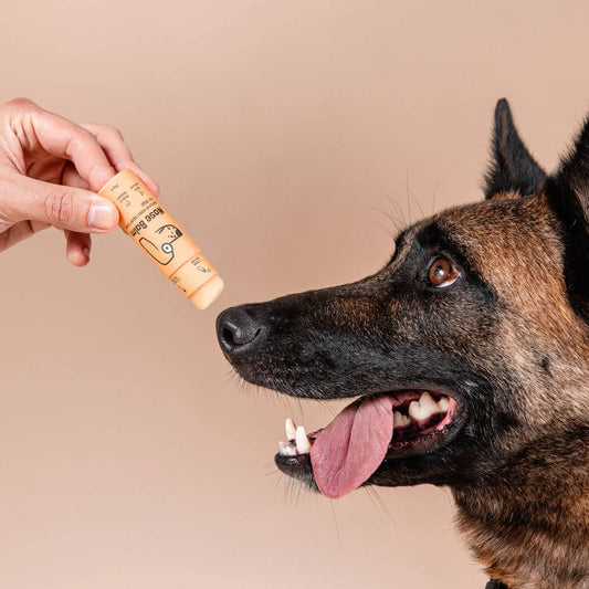 Nasenbalsam-Stift für Hunde